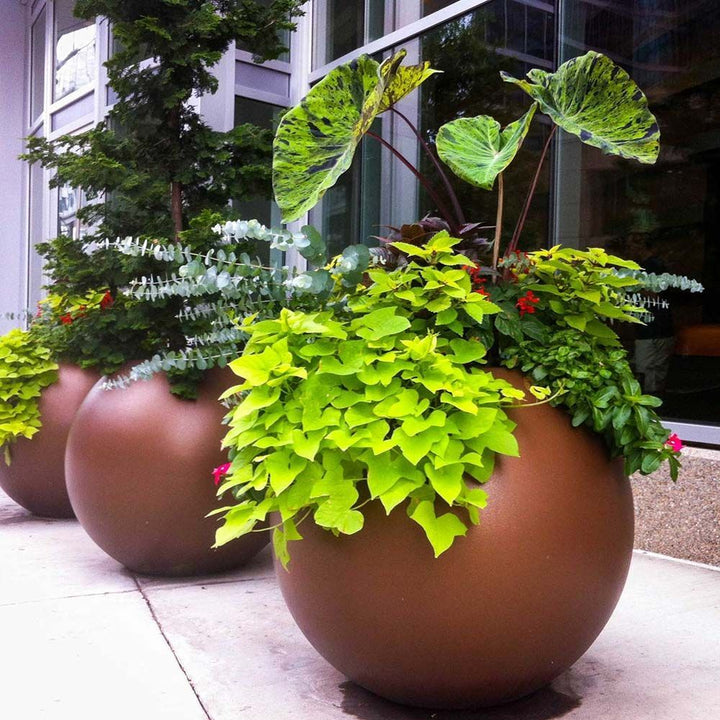 Jay Scotts Fiberglass Globe Planter - (24" - 36" Wide)