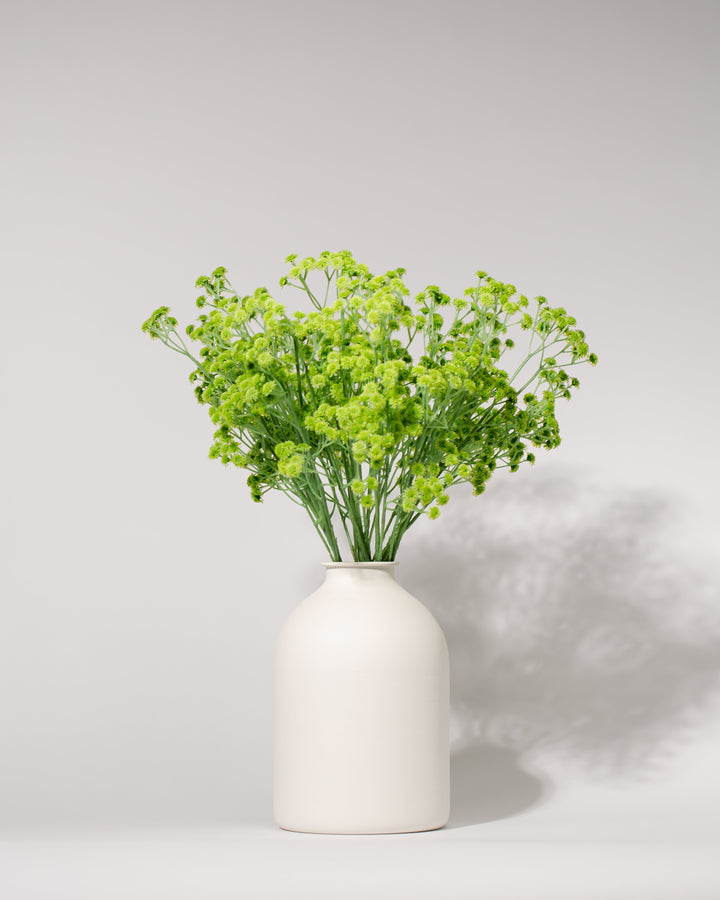 Real touch baby breath ( 10 stems )